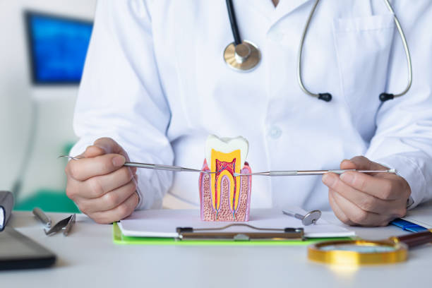 Best Emergency Dental Services for Seniors in Potosi, MO